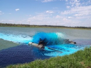 Pond Dye