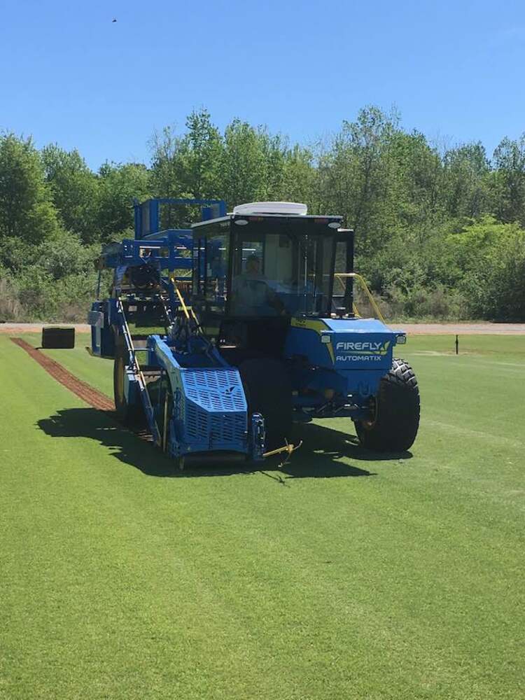 There's No Bad Time to Plant Sod