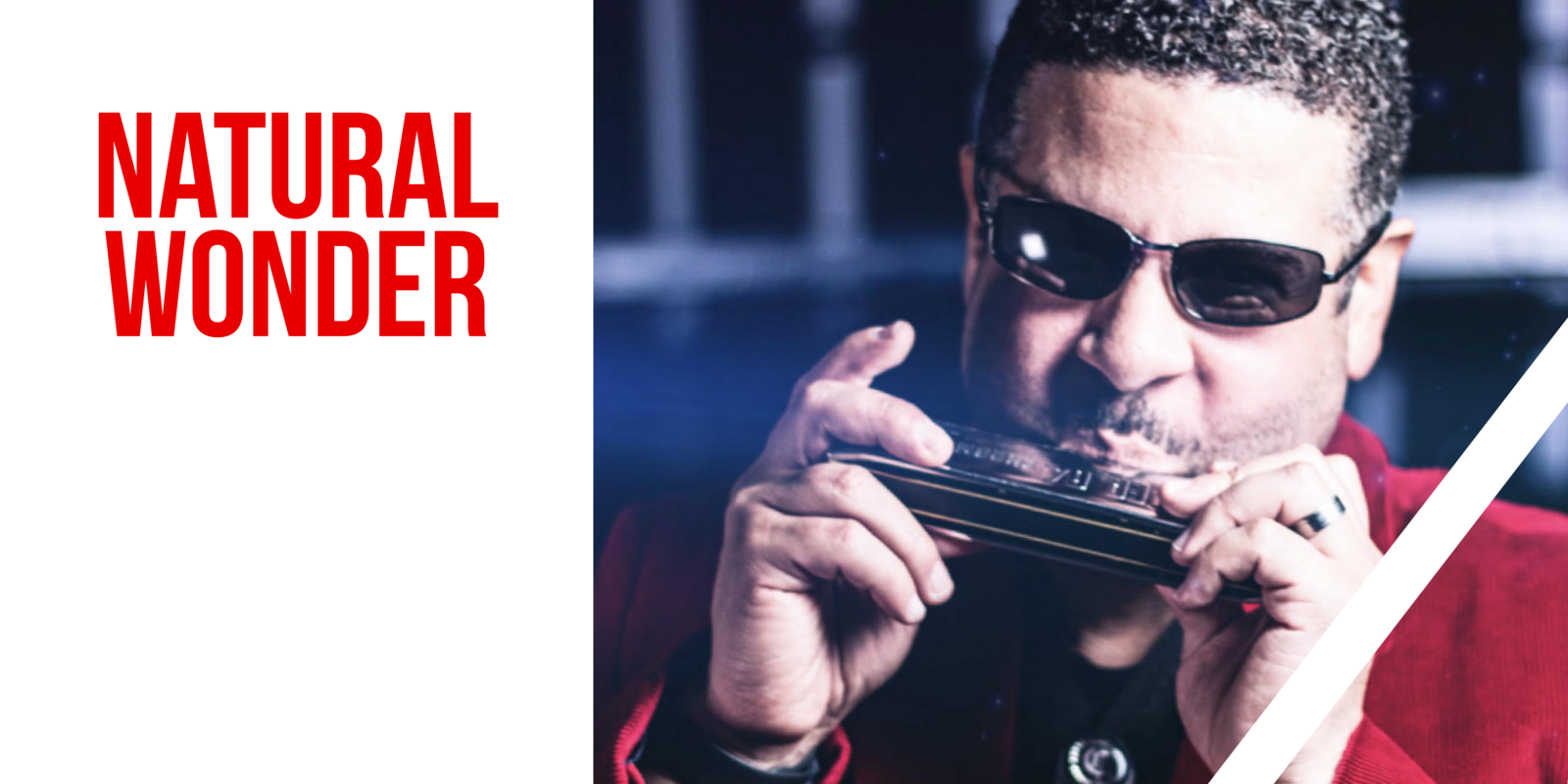 Natural Wonder - Stevie Wonder Tribute