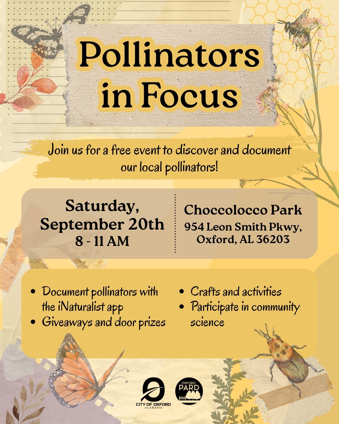 Pollinators in Focus