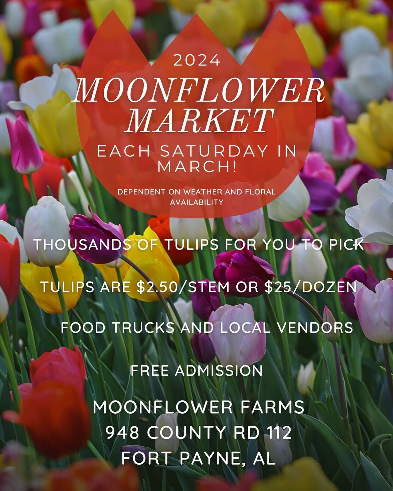 Moonflower Market