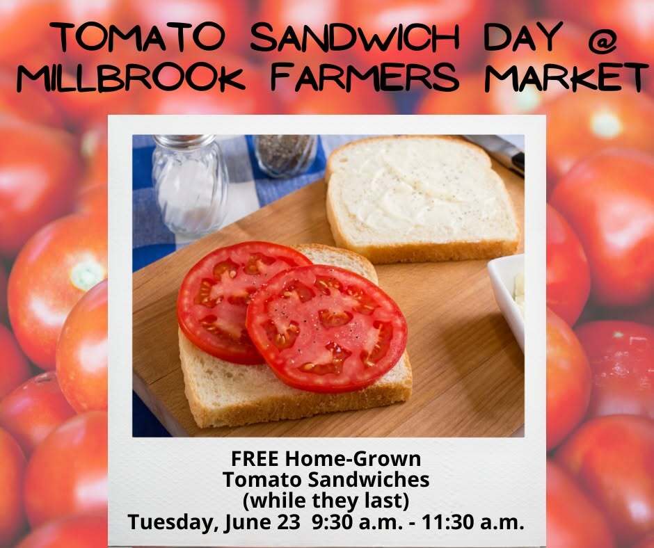 Free Tomato Sandwich day at Millbrook Farmers Market