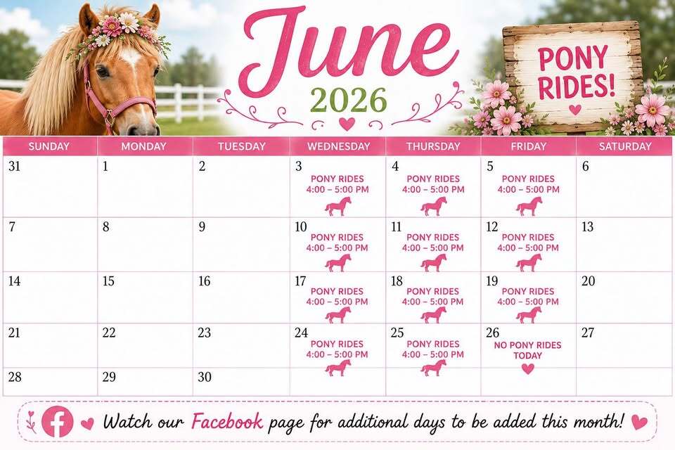 Petal Patch, Pony Rides, Ice Cream, Playground, Petting Zoo at Blue Ribbon Dairy