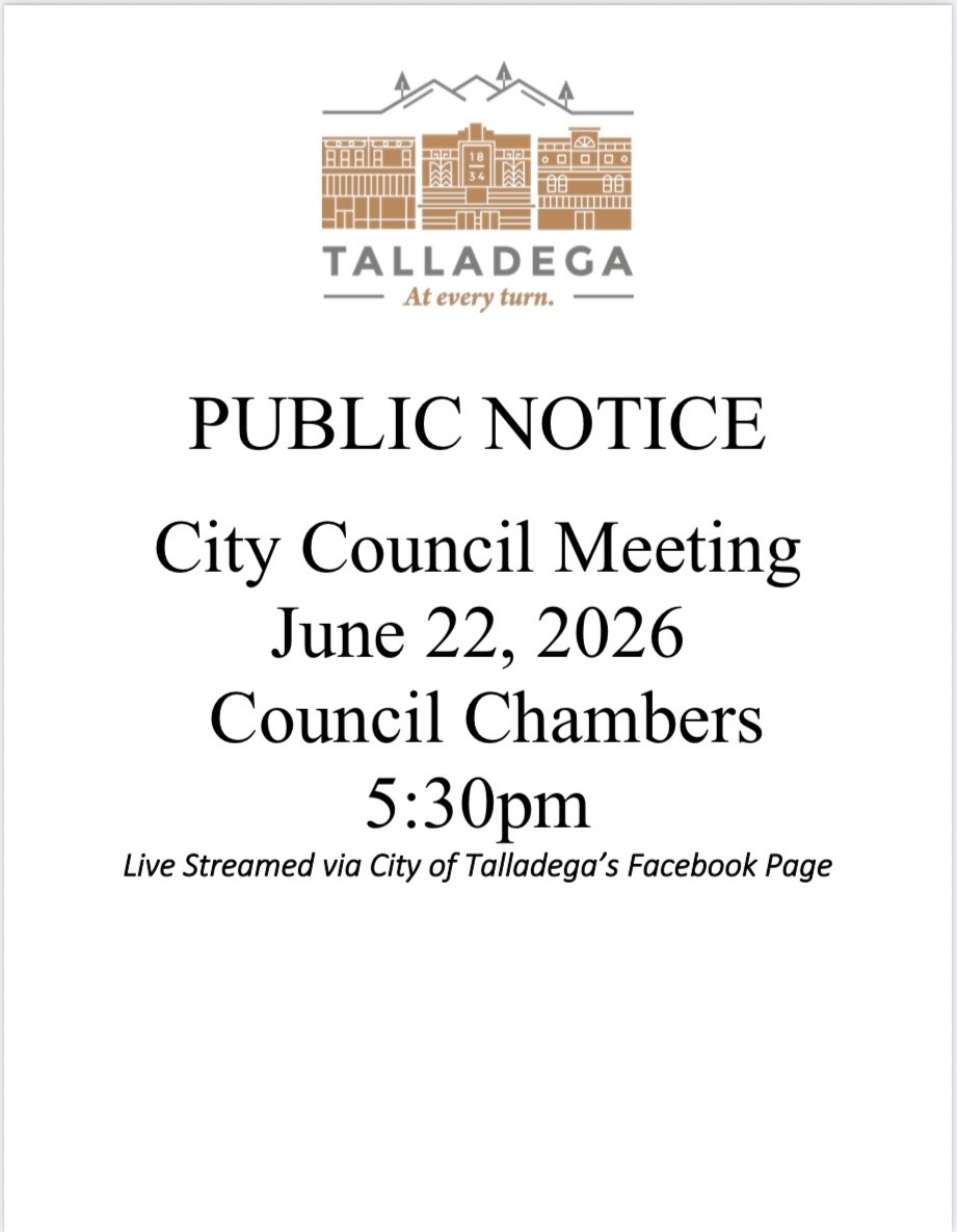 Council Meeting