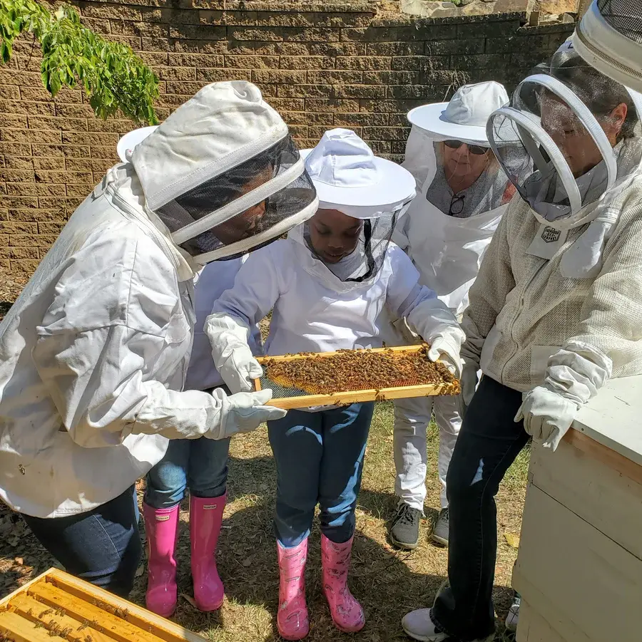 Women's Beekeeping Class with Foxhound Bee Company