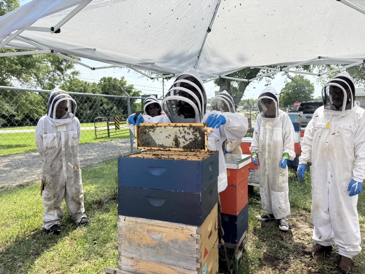 2026 Practical Beekeeping Workshop