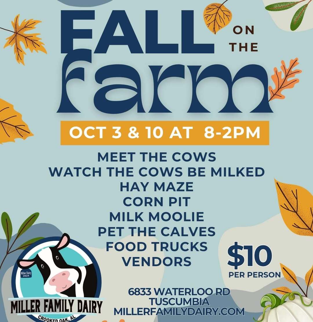 Fall on the Farm at Miller Family Dairy