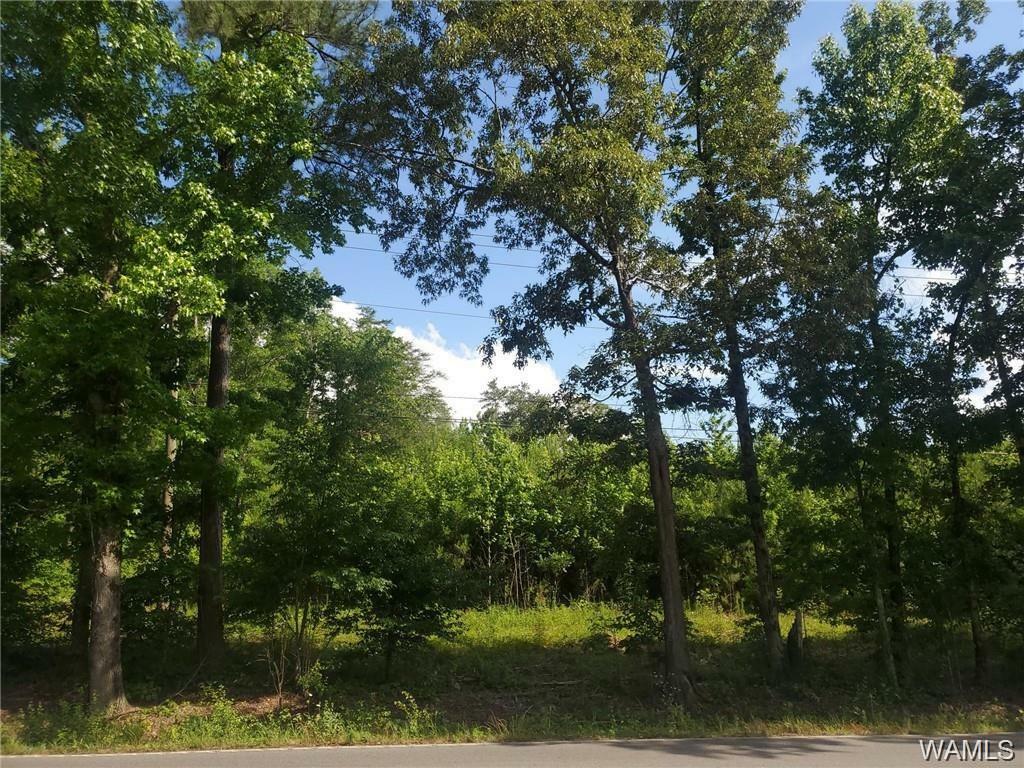 00 Hwy 216, Mccalla Property for Sale West Alabama MLS