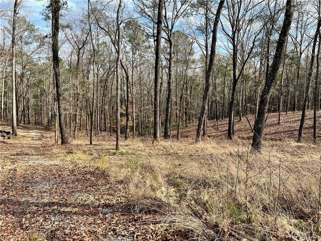 LOT27 Edgewater Drive, Northport Property for Sale West Alabama MLS