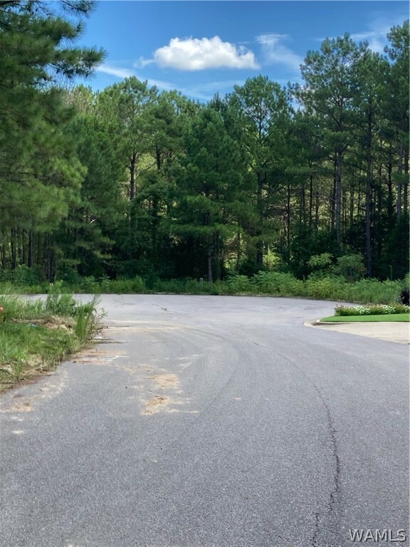 039 Crimson Ridge Circle, Brookwood Property for Sale West Alabama MLS