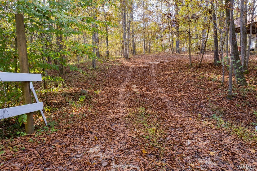 0 Weeping Willow Road, Northport Property for Sale West Alabama MLS