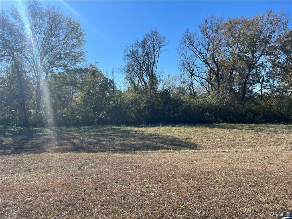 890 Jamie Lane, Moundville Property for Sale West Alabama MLS