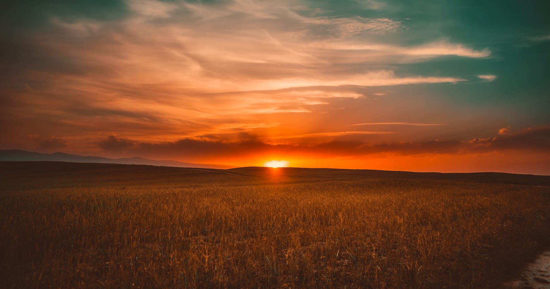  sunset on a farm 