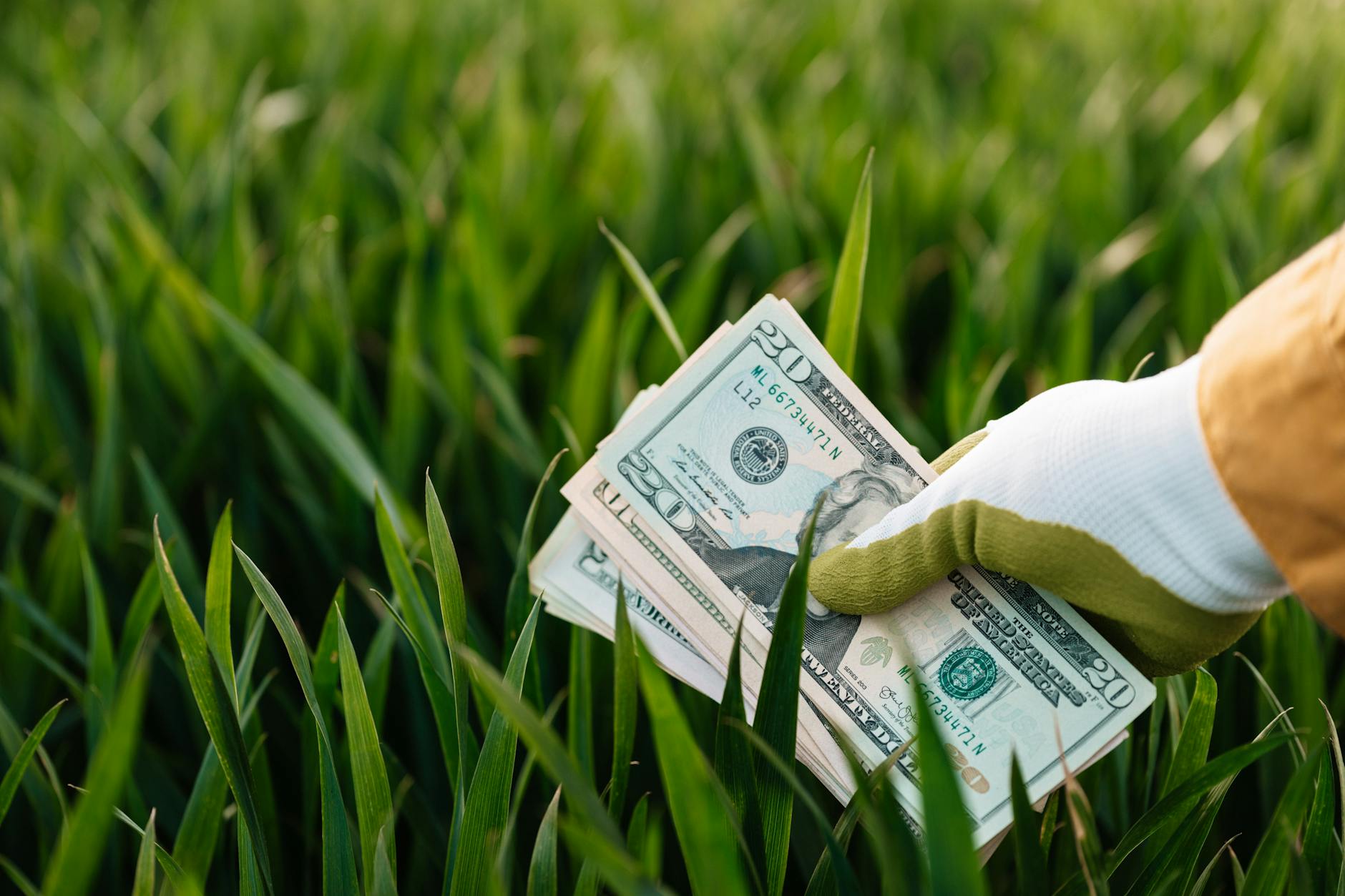  money on a farm 