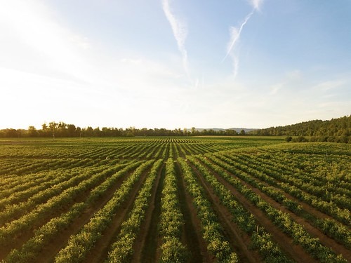  Agriculture land 