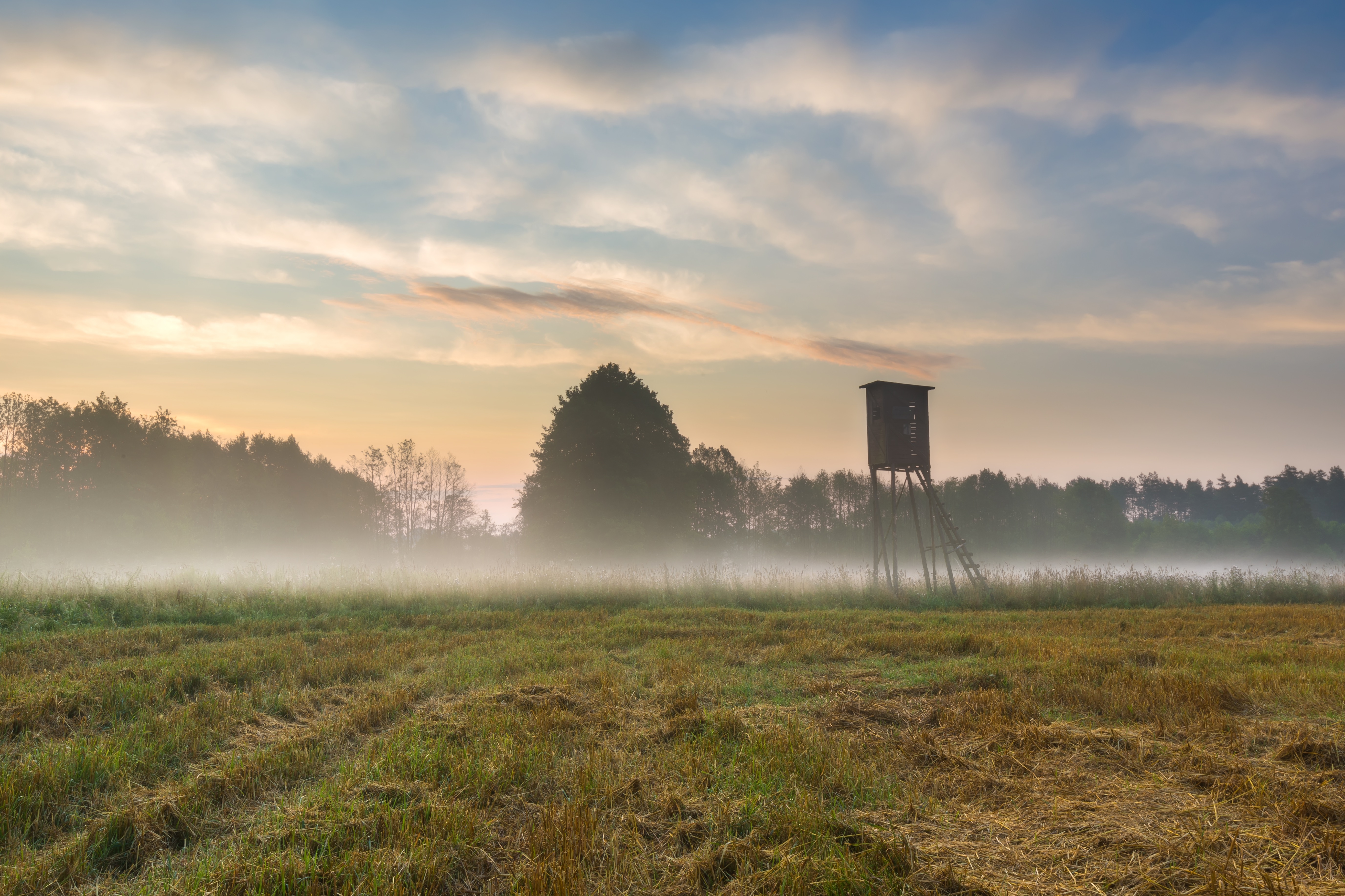  Hunting and recreational land 