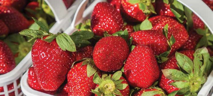  strawberries 
