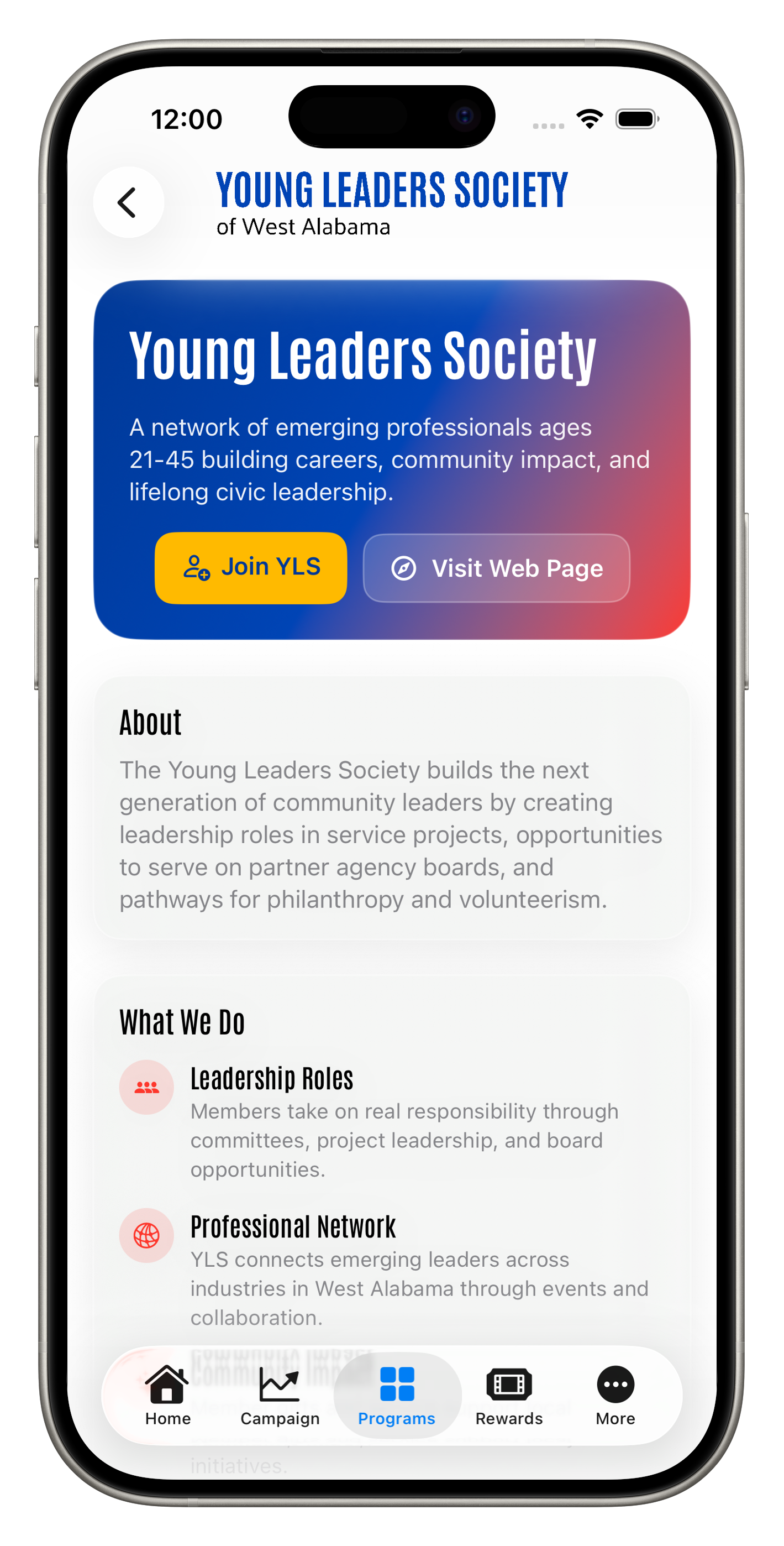 Young Leaders Society