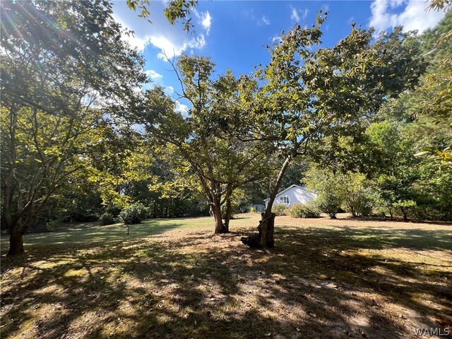 Property MLS#177916