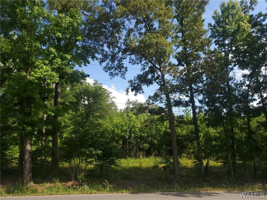 0 Hwy 216, Mccalla Property for Sale West Alabama MLS