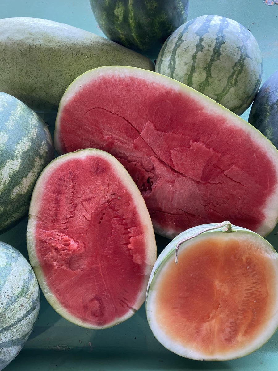 Reeves' Peach Farm Step Out Agriventure Trail