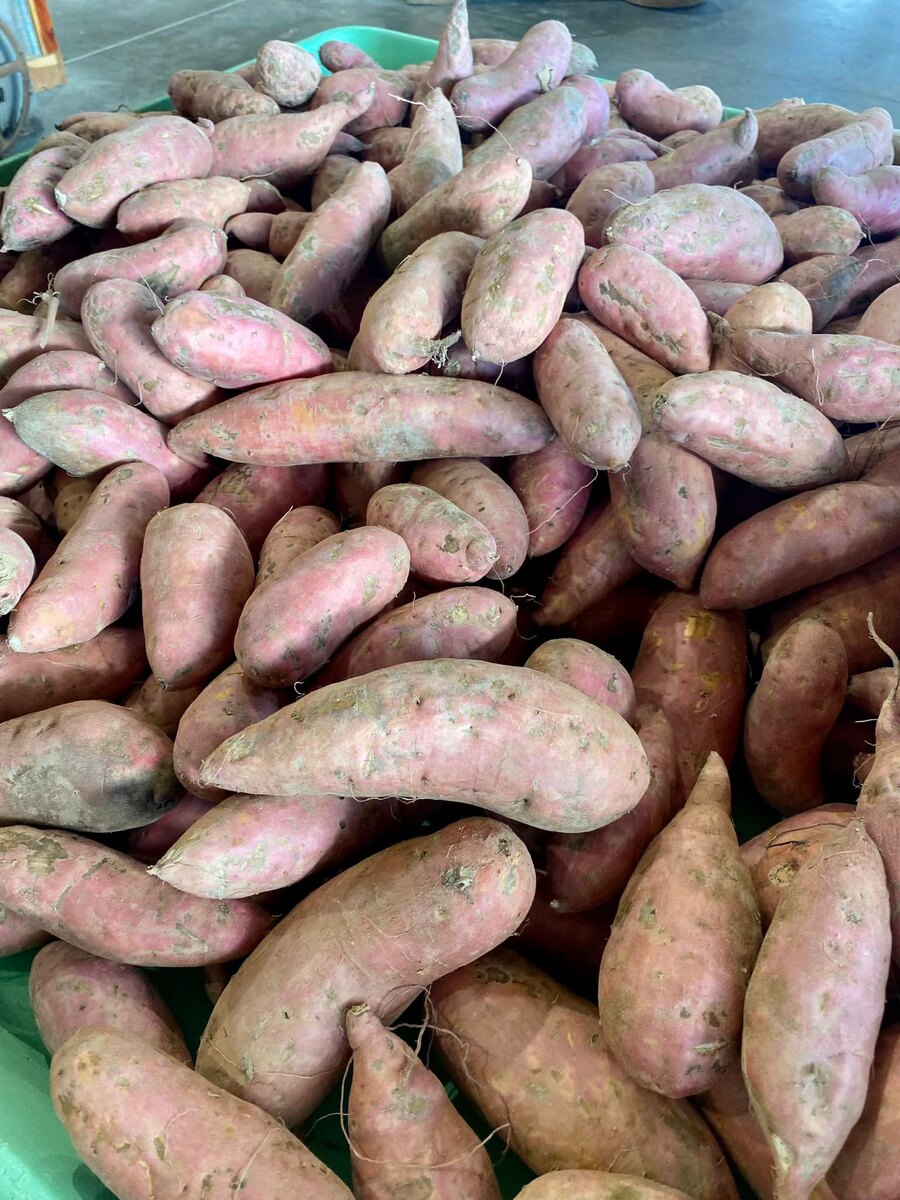 Reeves' Peach Farm Step Out Agriventure Trail