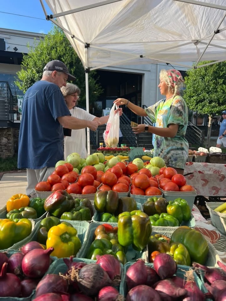 How to Store Sweet Grown Alabama Summertime Fresh Produce