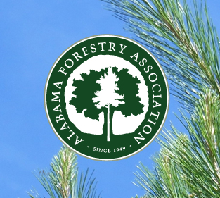 Read the Member Spotlight in Alabama Forest Magazine
