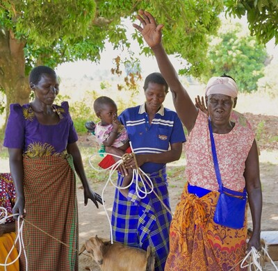 DUMMY PAGE Goats for Widows