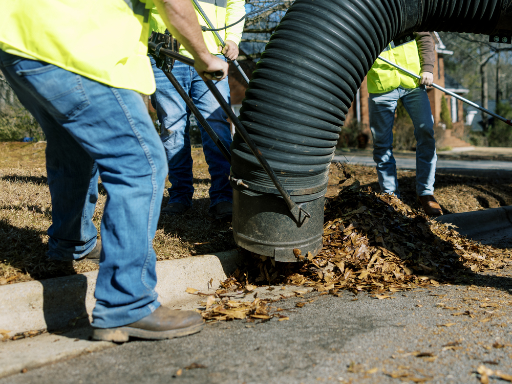 2025-2026 Leaf Pick Up