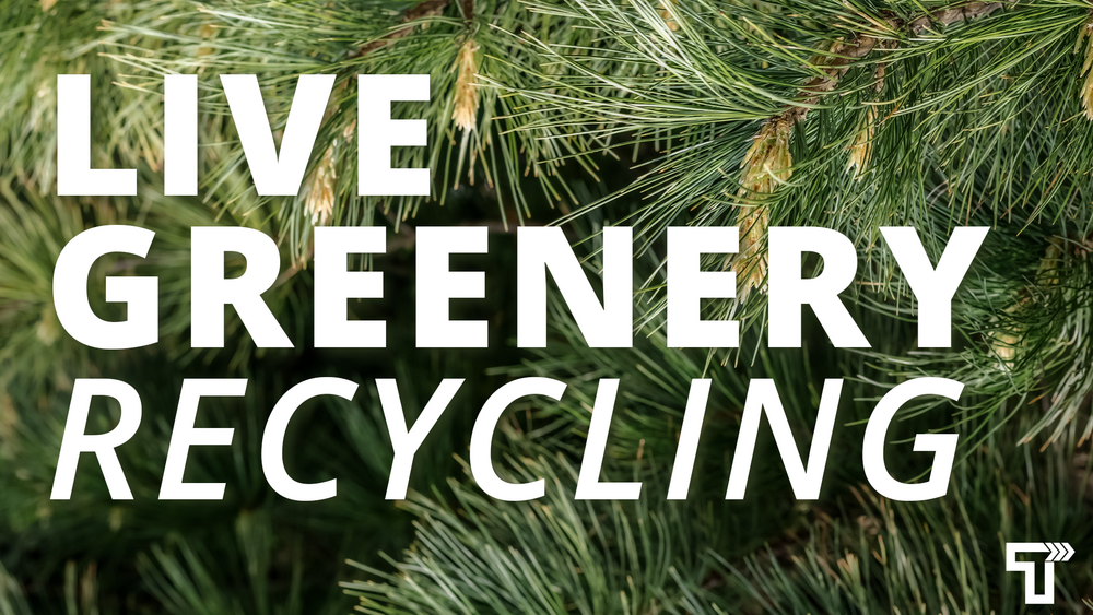 Tree Recycling & Holiday Garbage Drop-off
