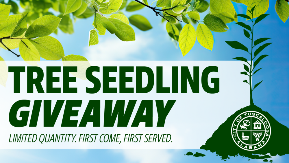 City of Tuscaloosa to Host Tree Seedling Giveaway at Tuscaloosa River Market
