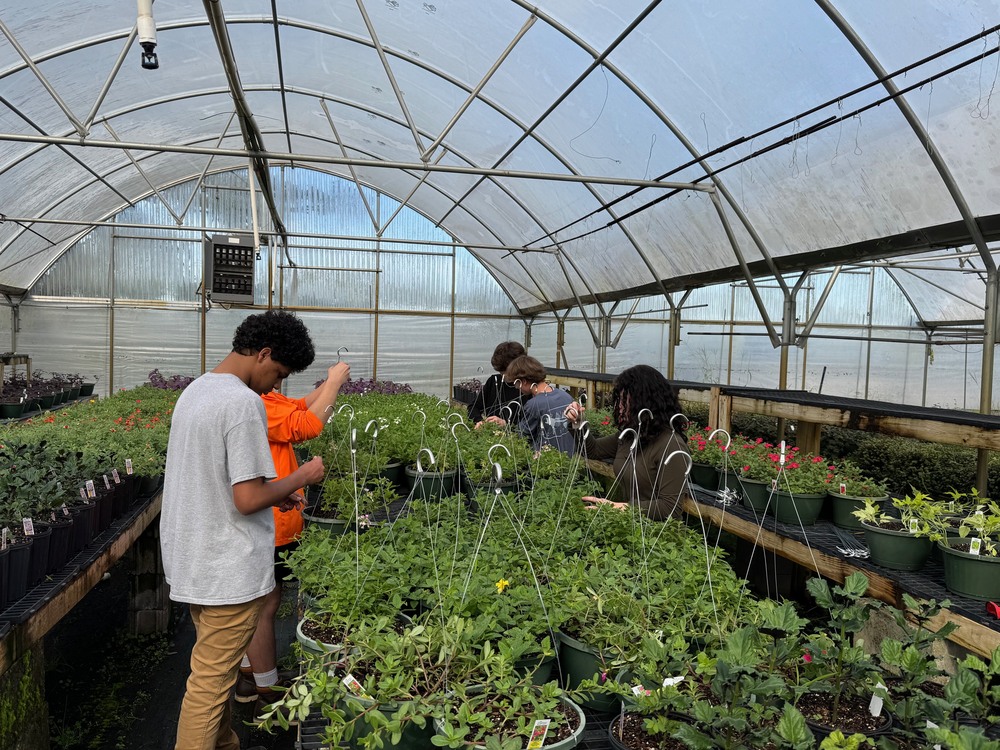 Growing Futures at Viking Horticulture