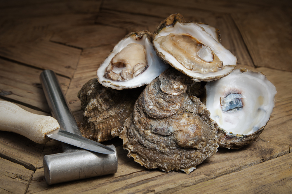 Opportunity on the Half Shell