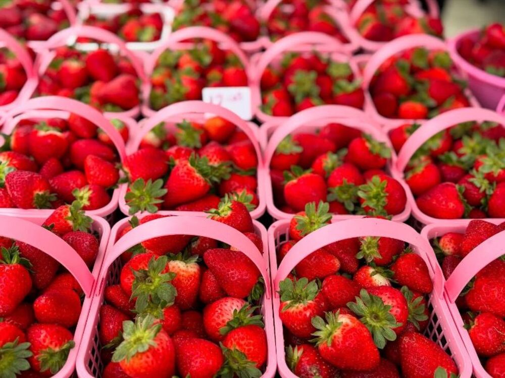 City of Tuscaloosa Farmers Market to Host Strawberry Fest Next Tuesday