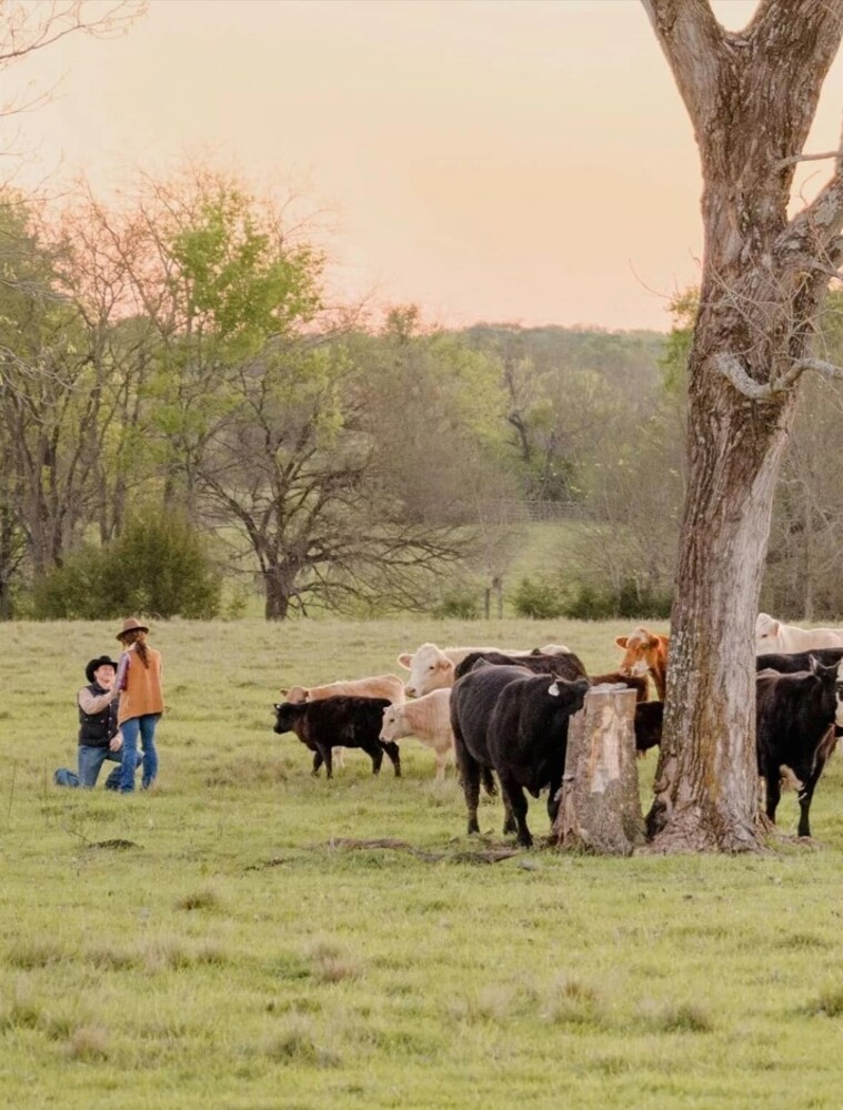 Faith, Hard Work and Honest Beef from Montgomery, Alabama