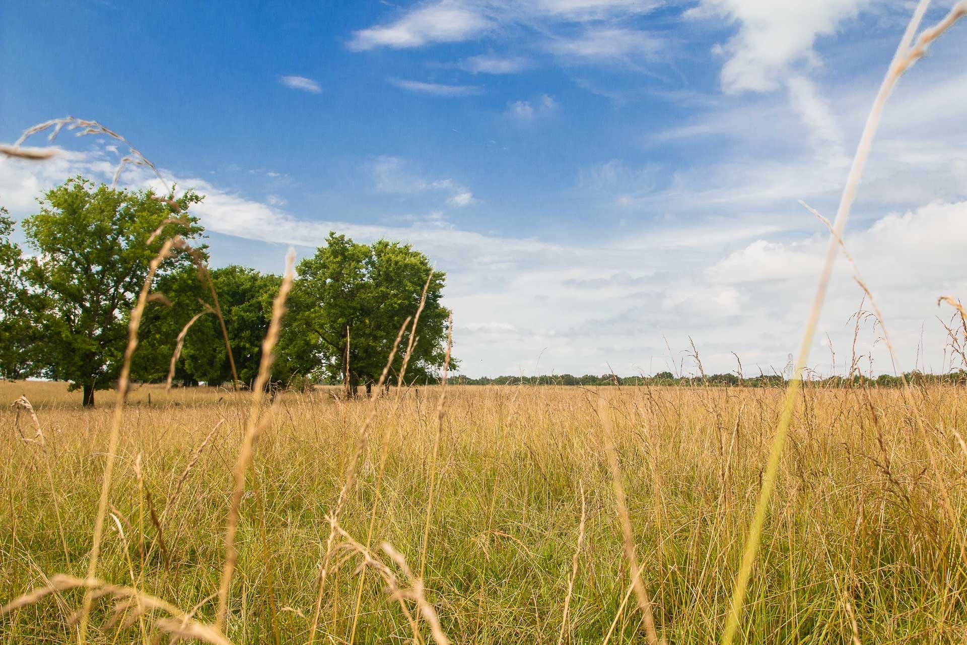 Alabama Land Pricing Guide 2026