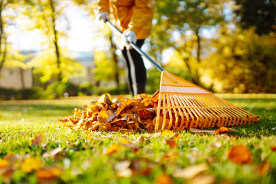 A Homeowner’s Guide to Fall Maintenance in Alabama