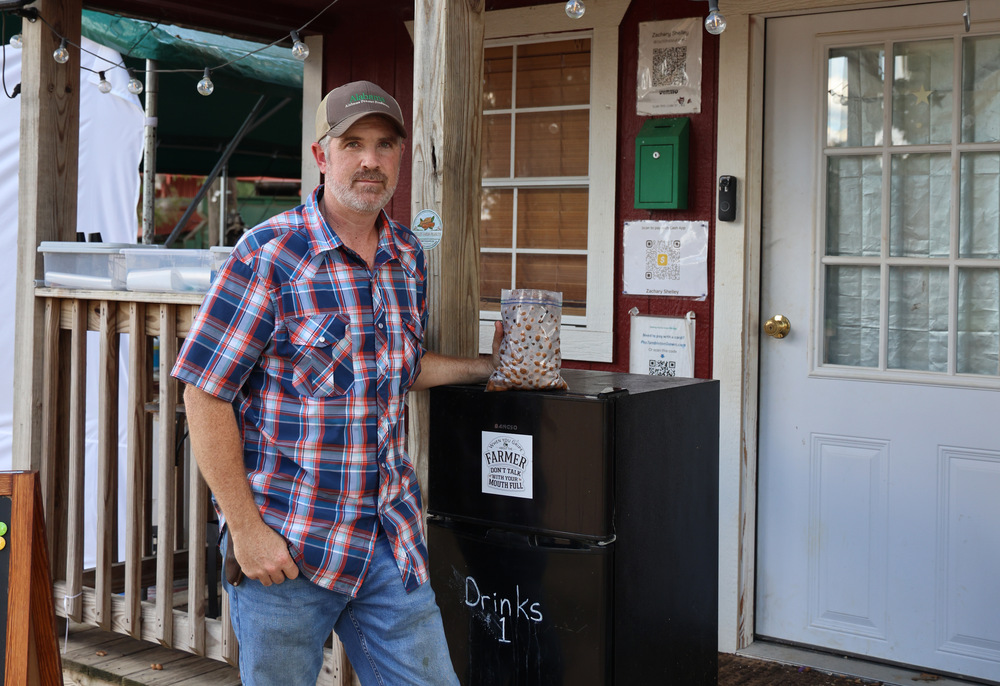 Fresh From the Field: Why Green Peanuts Are a Seasonal Southern Tradition