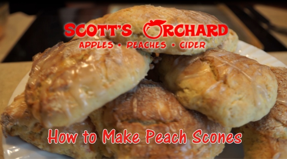 Peach Scones